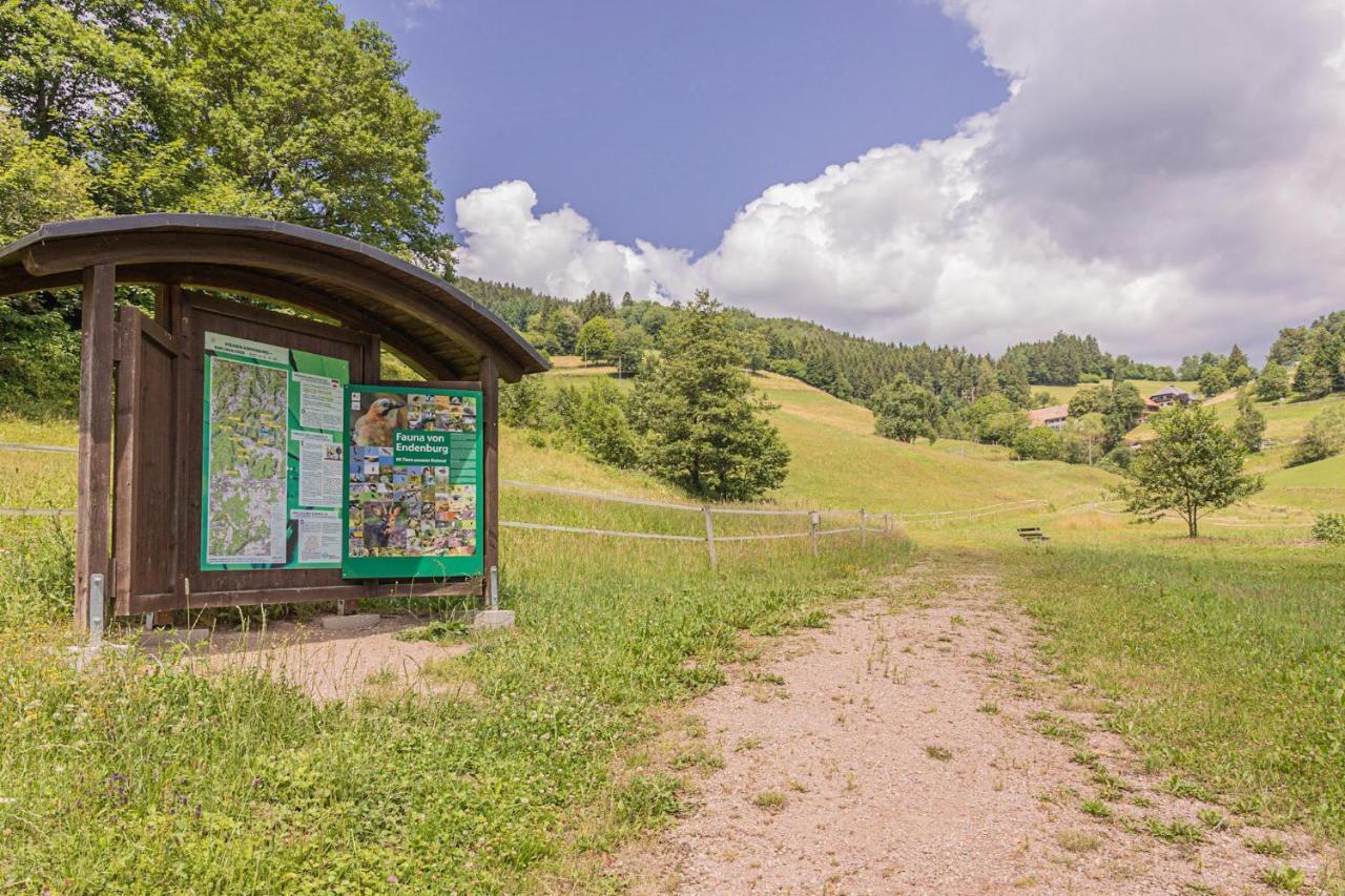 Boutique Wellnesshotel Landmann Steinen  Exterior foto